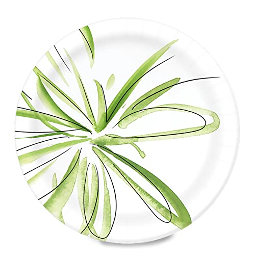 Amazon Basics Everyday Paper Plates, 8.62 Inch, Disposable, 200 Count Amazon Basics Everyday Paper Plates, 8.62 Inch, Disposable, 200 Count