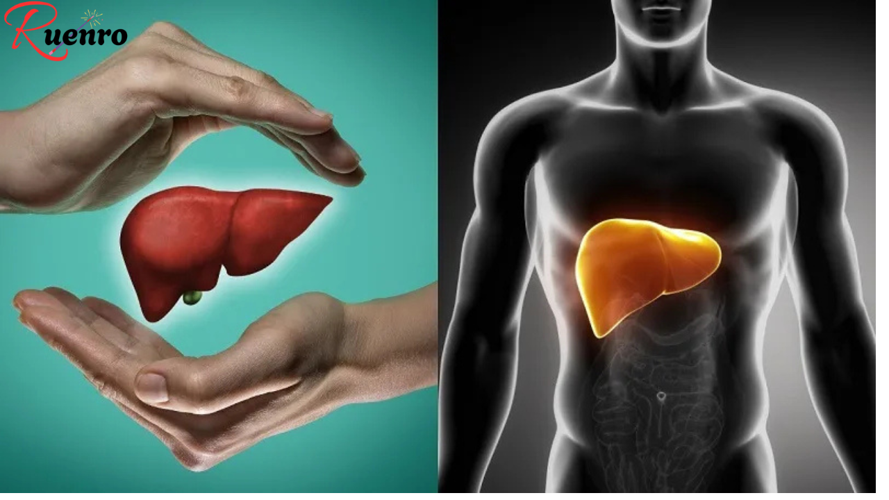 6 Warning Signs That Indicate Your Liver Is Full of Toxins