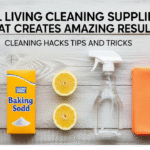 Frugal Living Cleaning Supplies List That Creates Amazing Results | Cleaning Hacks Tips and Tricks
