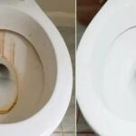 Put Dish Soap in Your Toilet Tank and Watch What Happens